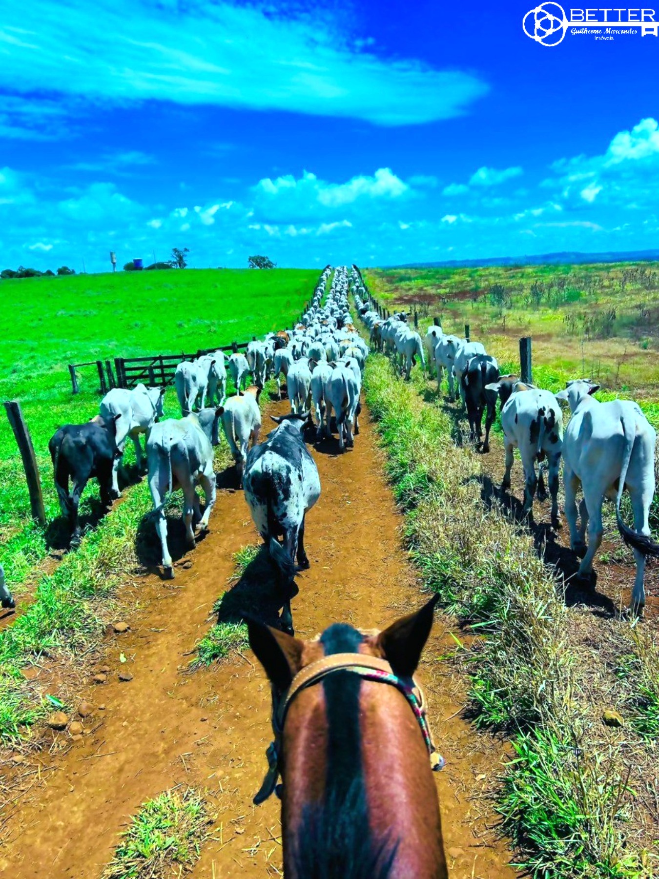 Fazenda, 249 m² - Foto 1