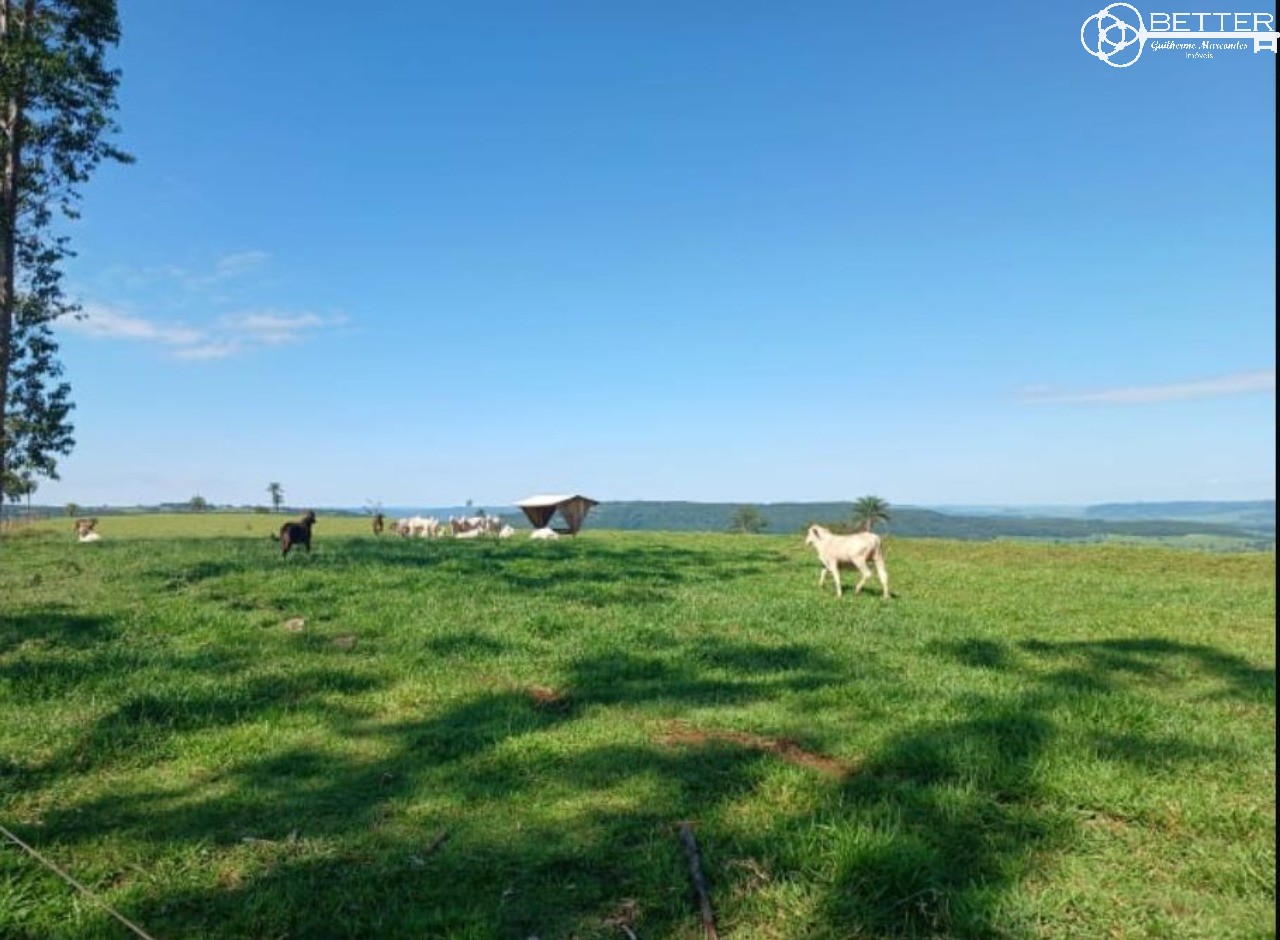 Fazenda, 249 m² - Foto 4