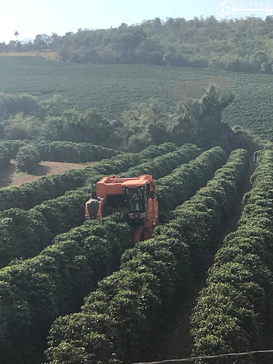 Fazenda, 47 m² - Foto 17