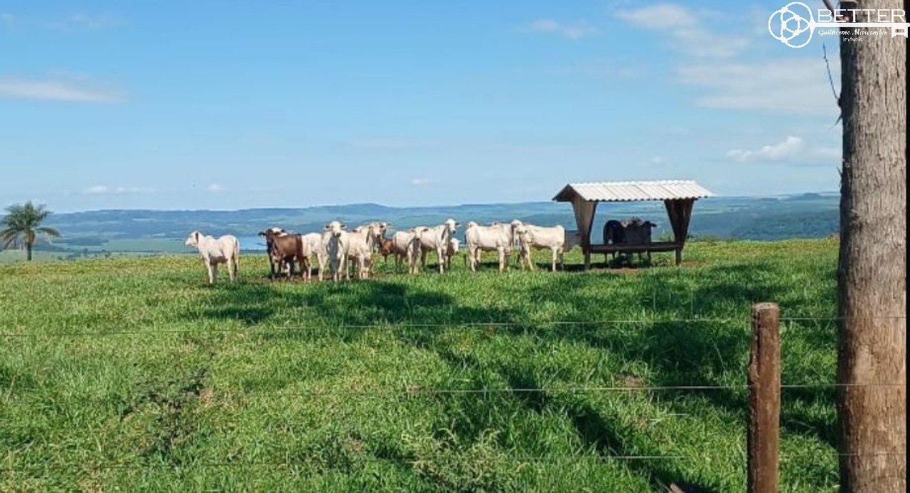 Fazenda, 249 m² - Foto 20