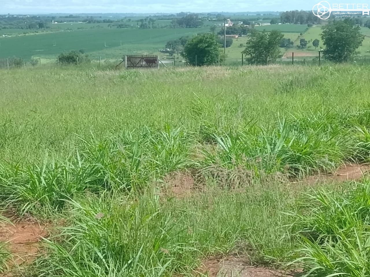 Fazenda, 4 m² - Foto 5