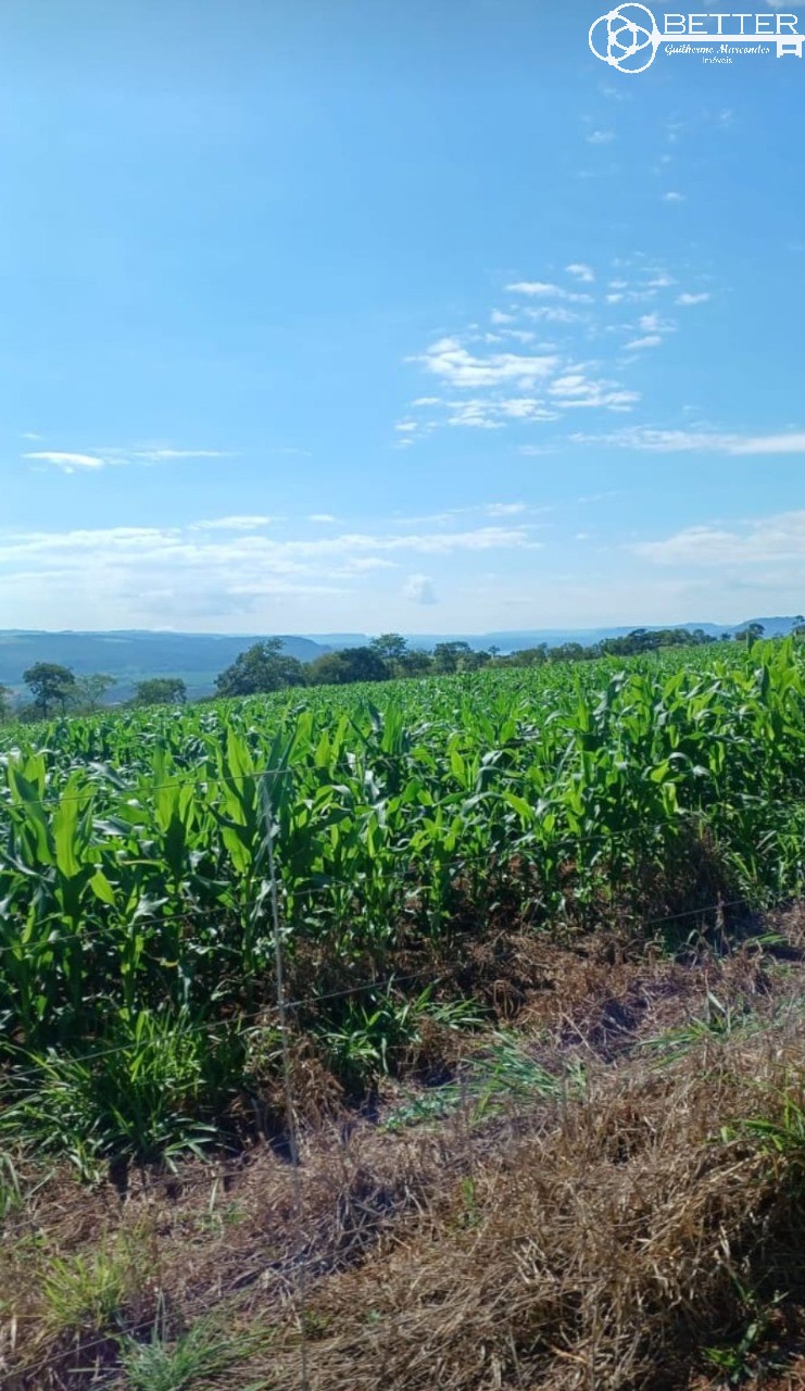 Fazenda, 249 m² - Foto 8