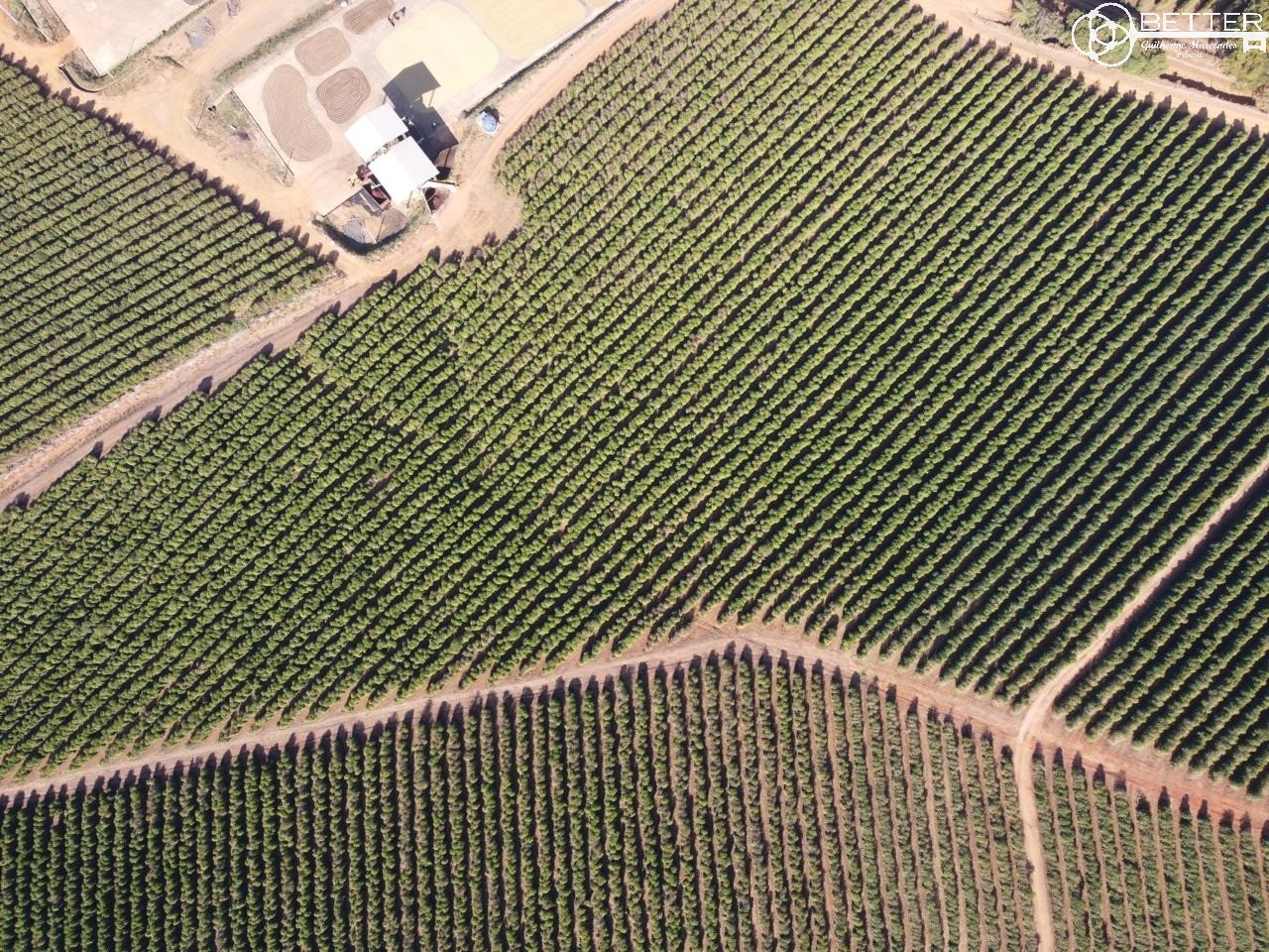 Fazenda, 47 m² - Foto 2