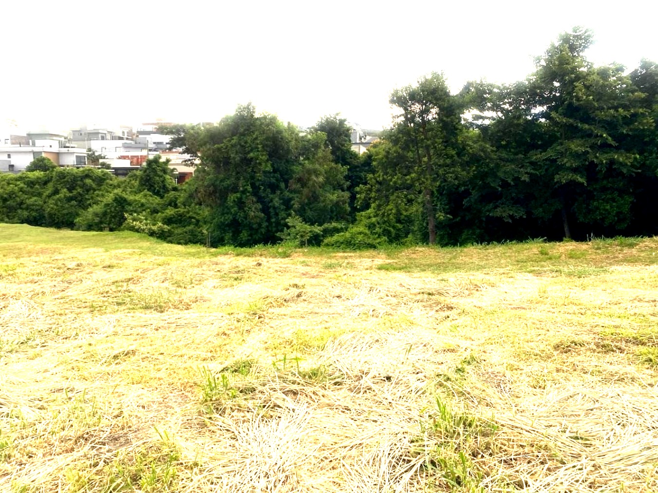 Terreno, 360 m² - Foto 2