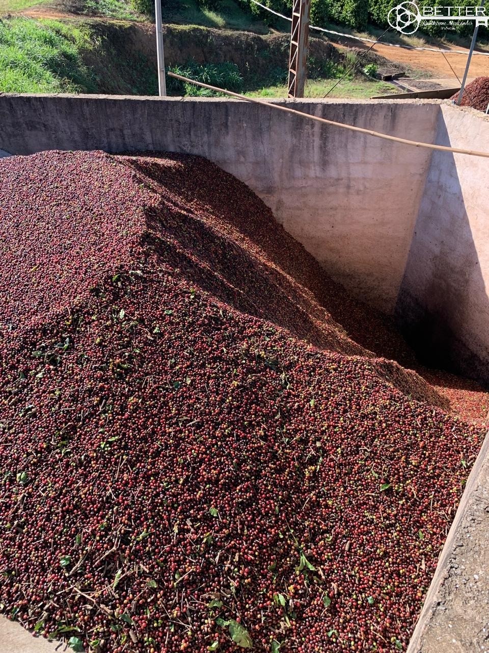 Fazenda, 47 m² - Foto 18