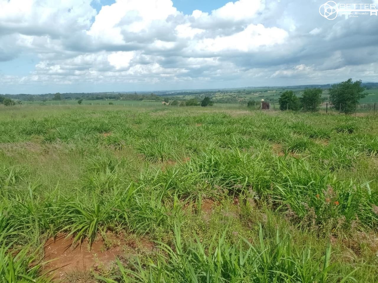 Fazenda, 4 m² - Foto 4