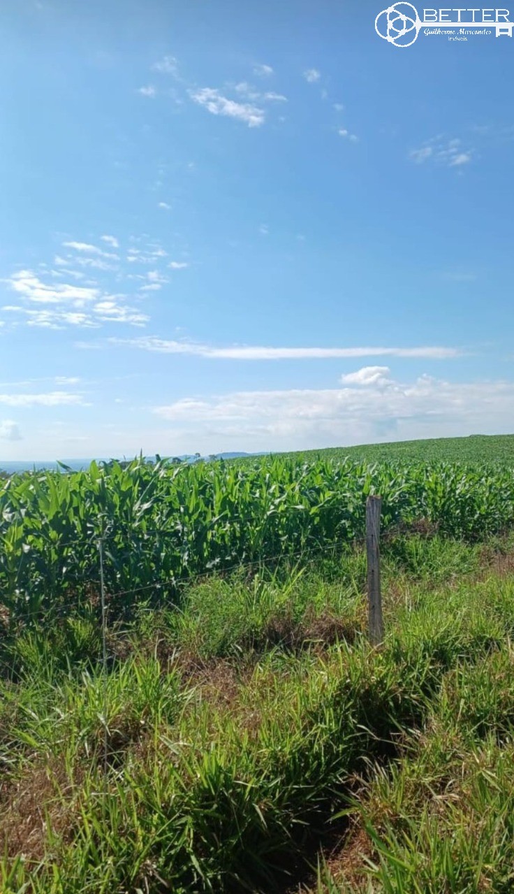 Fazenda, 249 m² - Foto 11