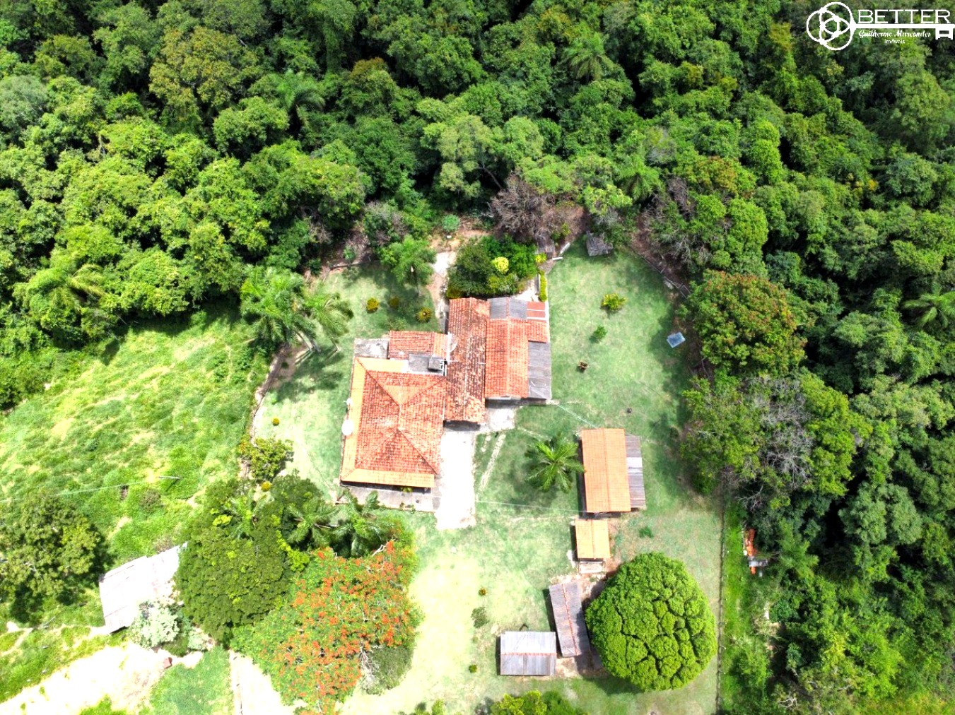 Terreno, 2 hectares - Foto 13