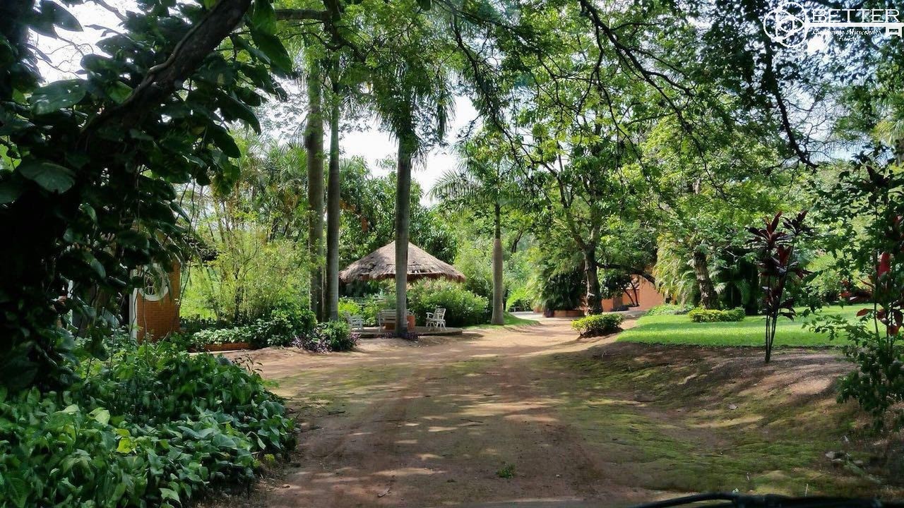 Fazenda, 35 m² - Foto 3