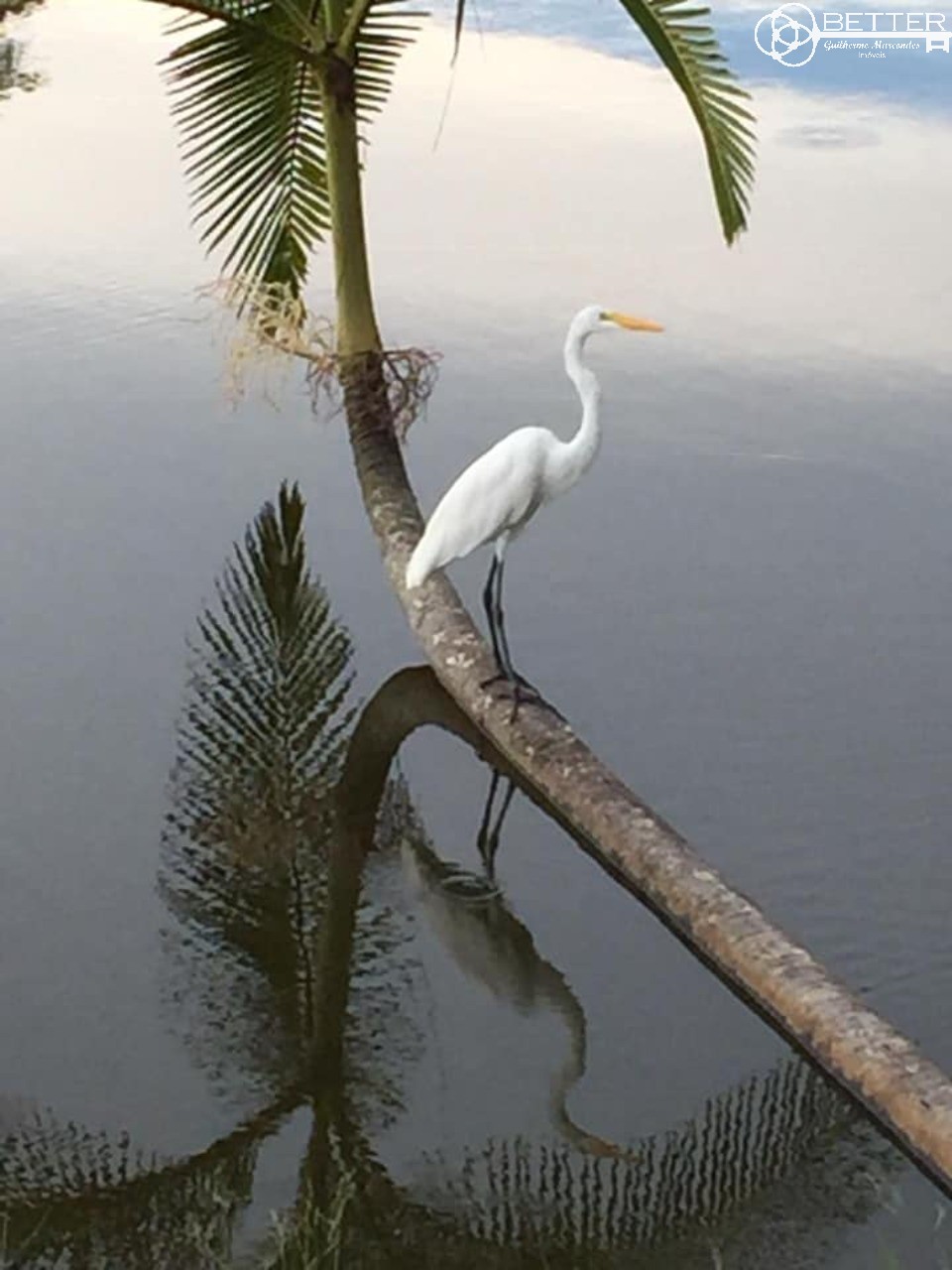 Casa, 4 quartos - Foto 26