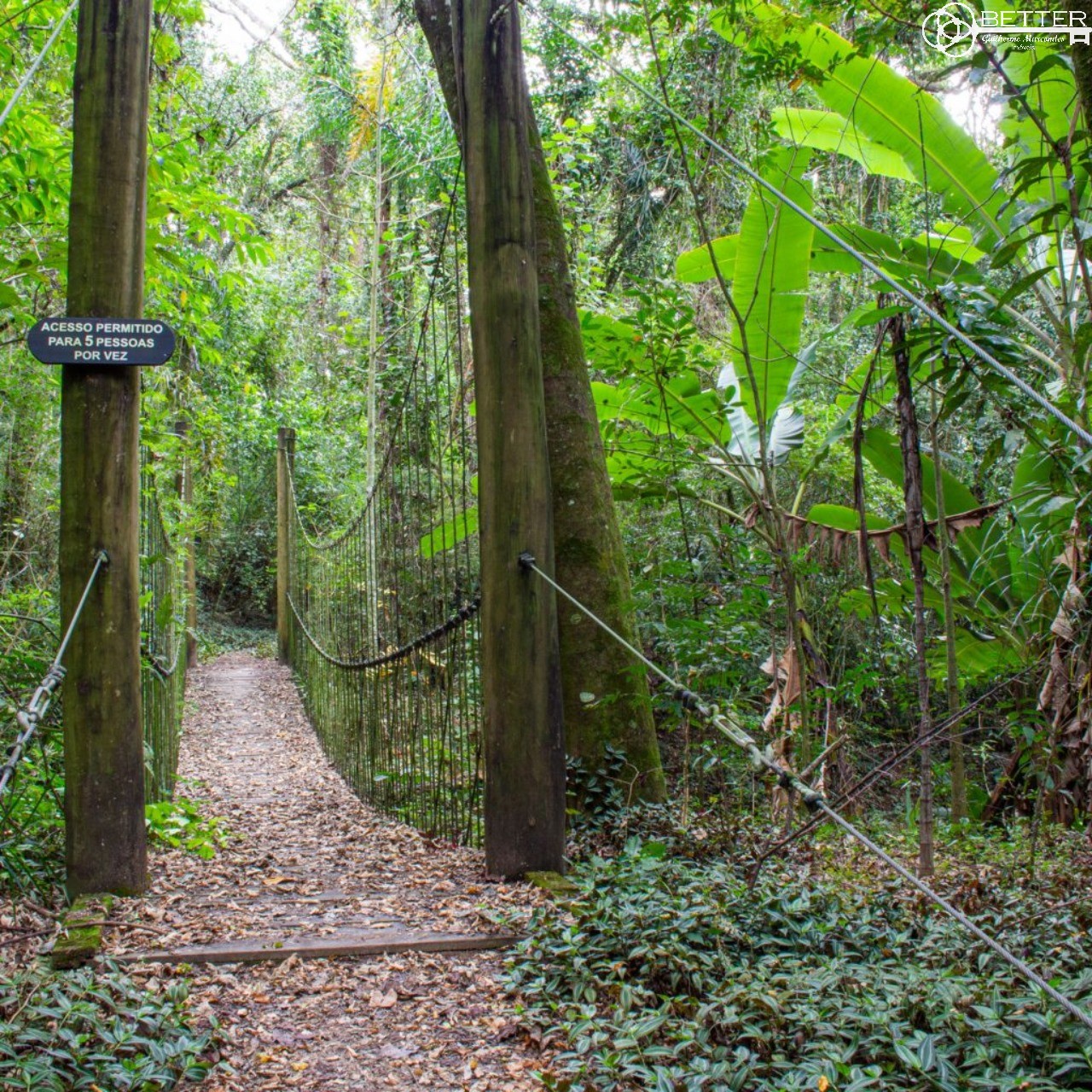 Casa, 4 quartos - Foto 52