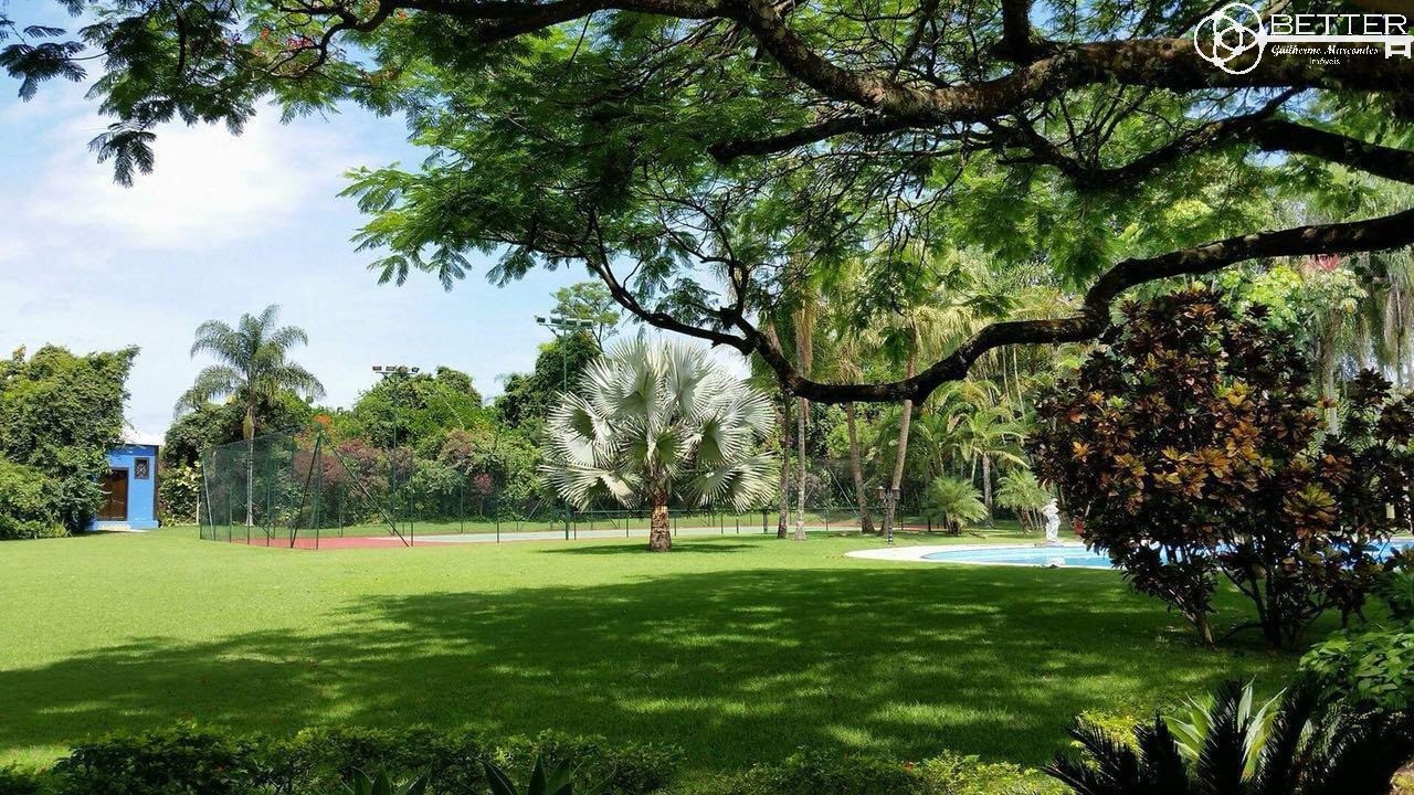 Fazenda, 35 m² - Foto 8