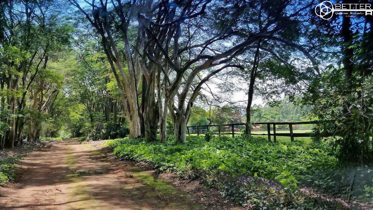 Fazenda, 35 m² - Foto 2