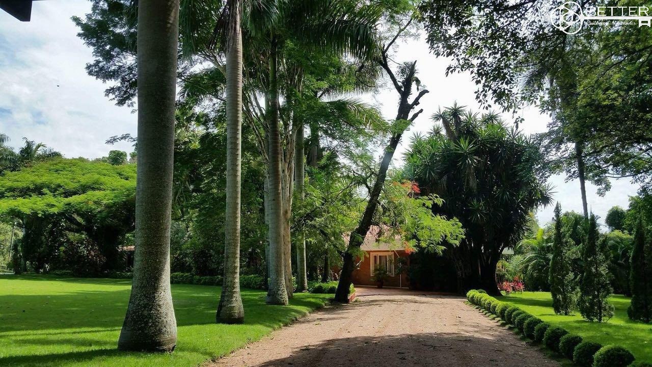 Fazenda, 35 m² - Foto 4