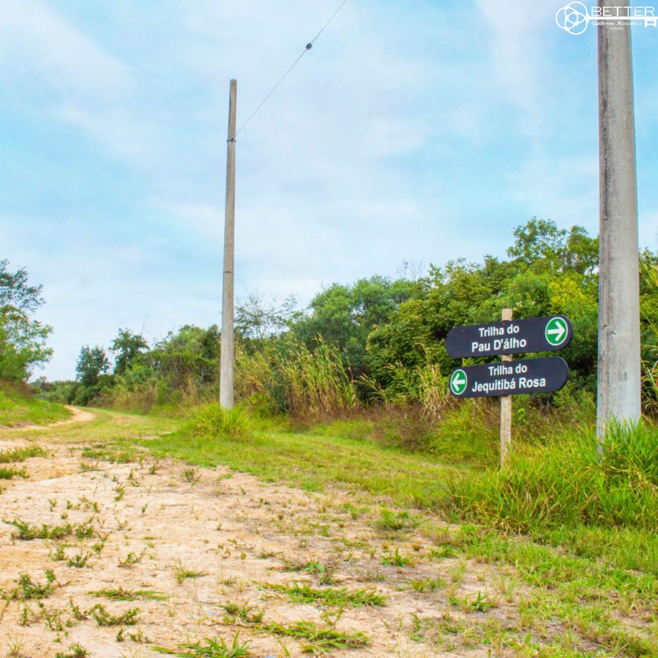 Casa, 4 quartos - Foto 53