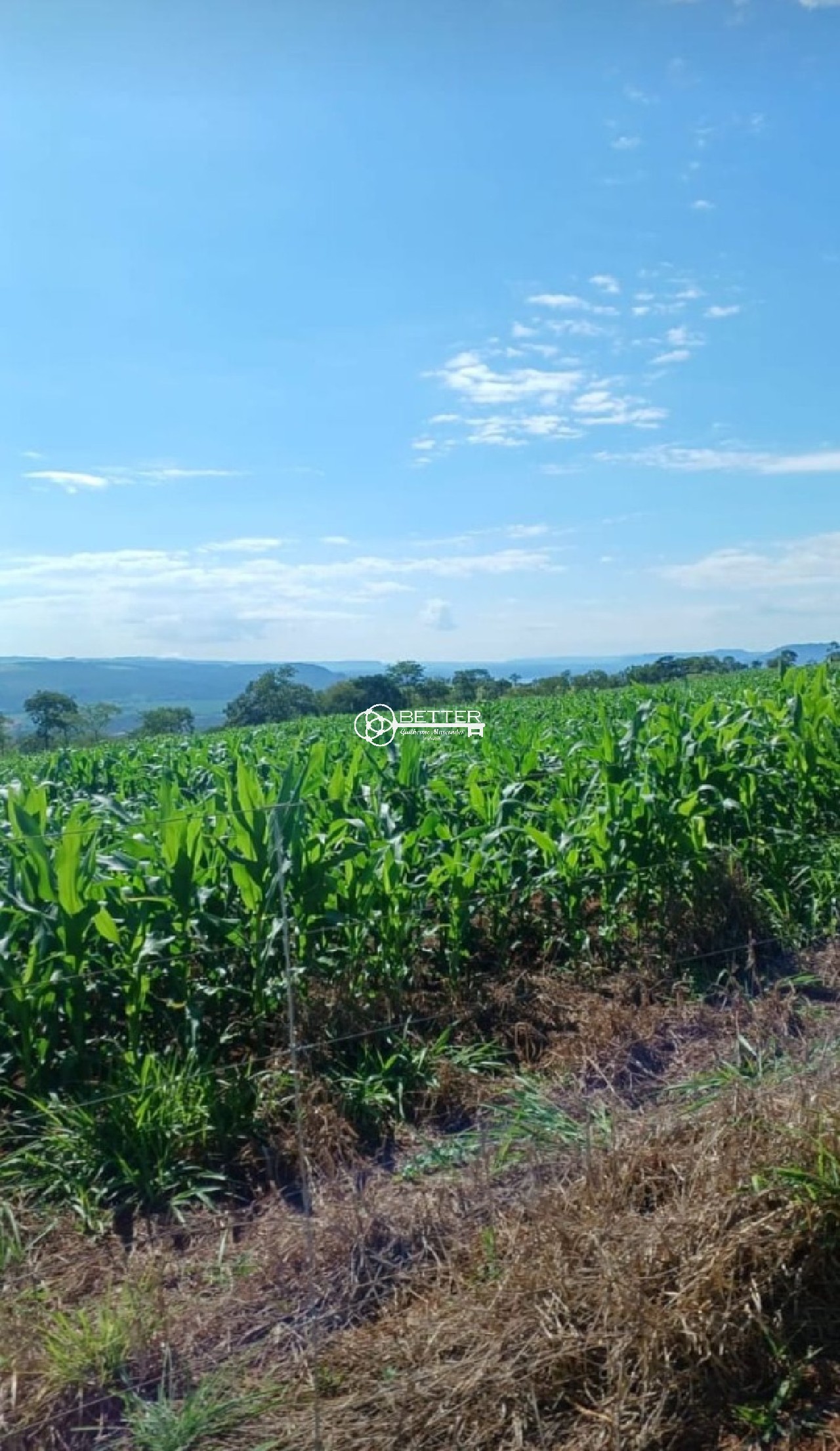 Fazenda, 249 m² - Foto 8