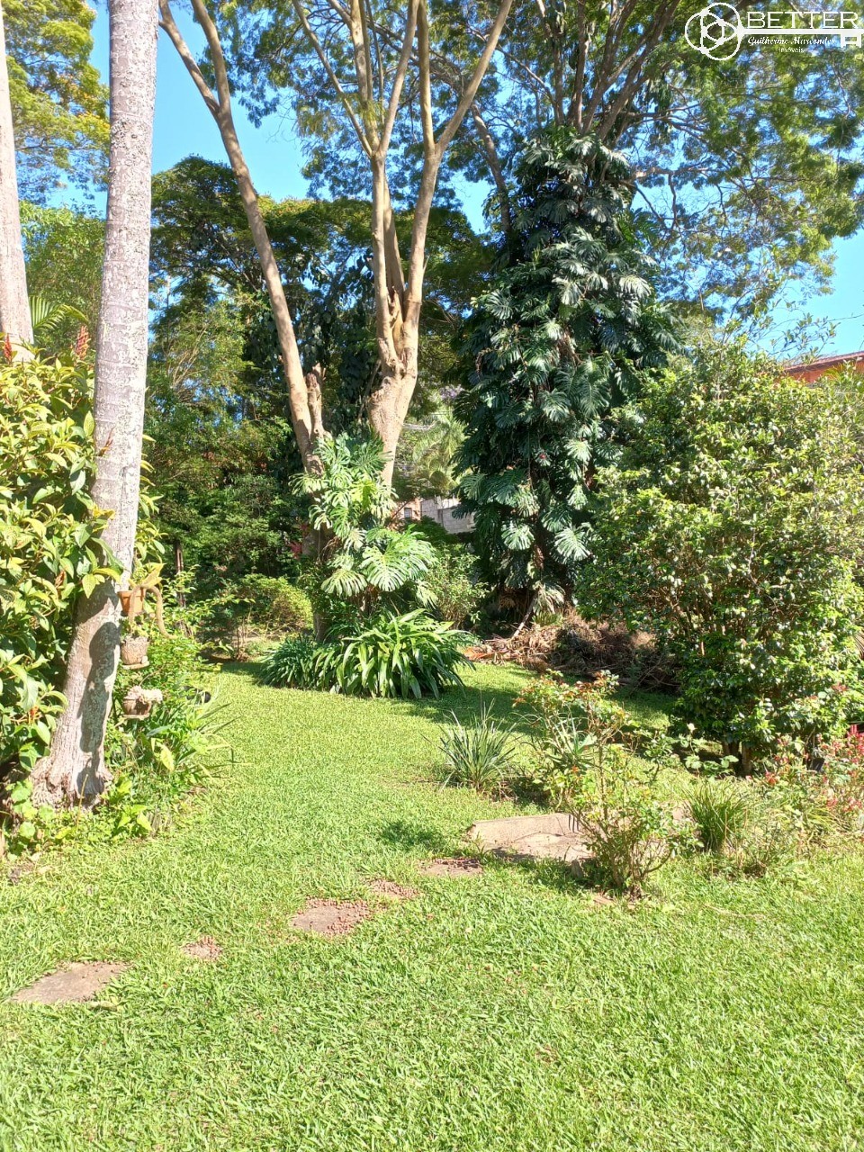 Casa, 4 quartos - Foto 3