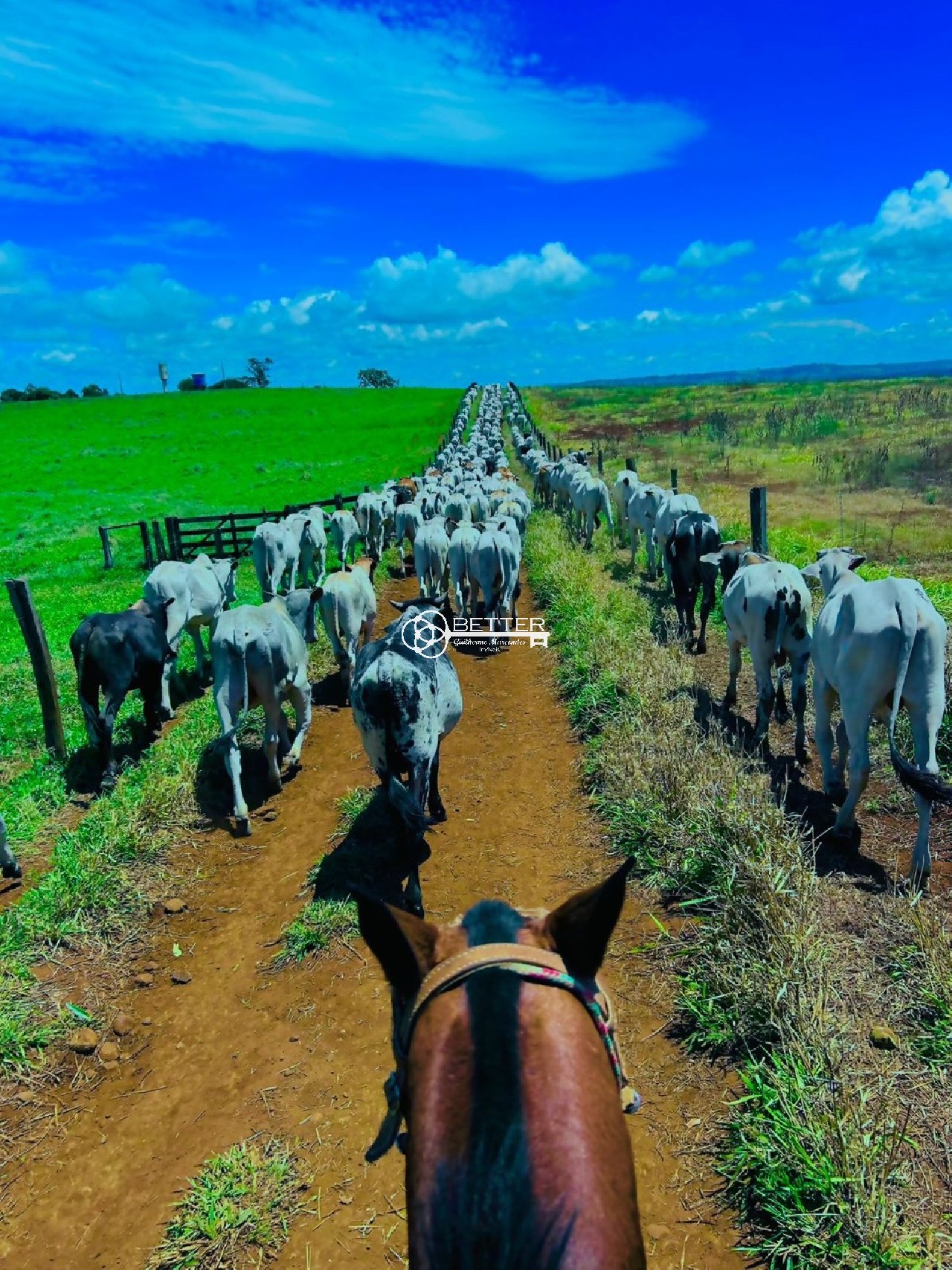 Fazenda, 249 m² - Foto 1