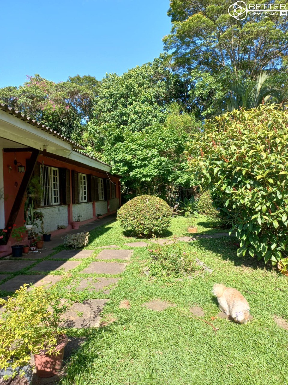 Casa, 4 quartos - Foto 4