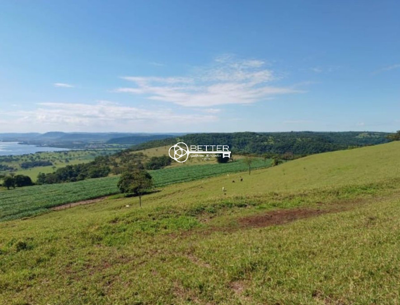 Fazenda, 249 m² - Foto 3