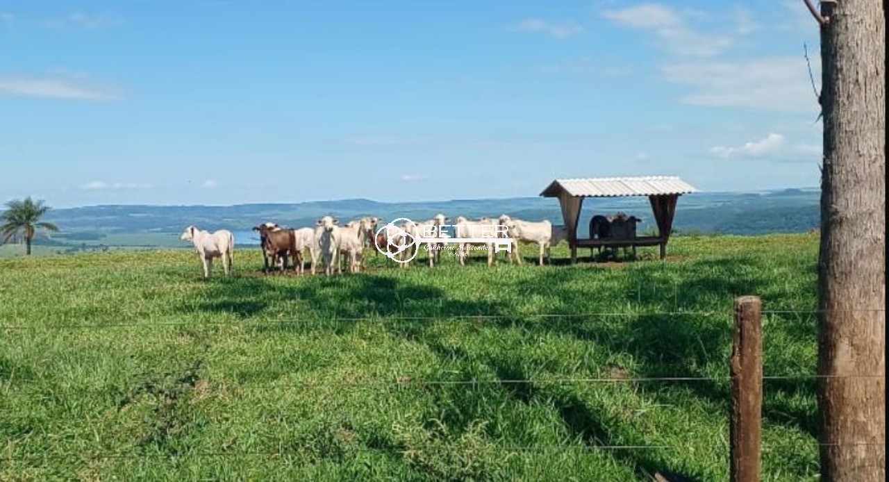 Fazenda, 249 m² - Foto 20