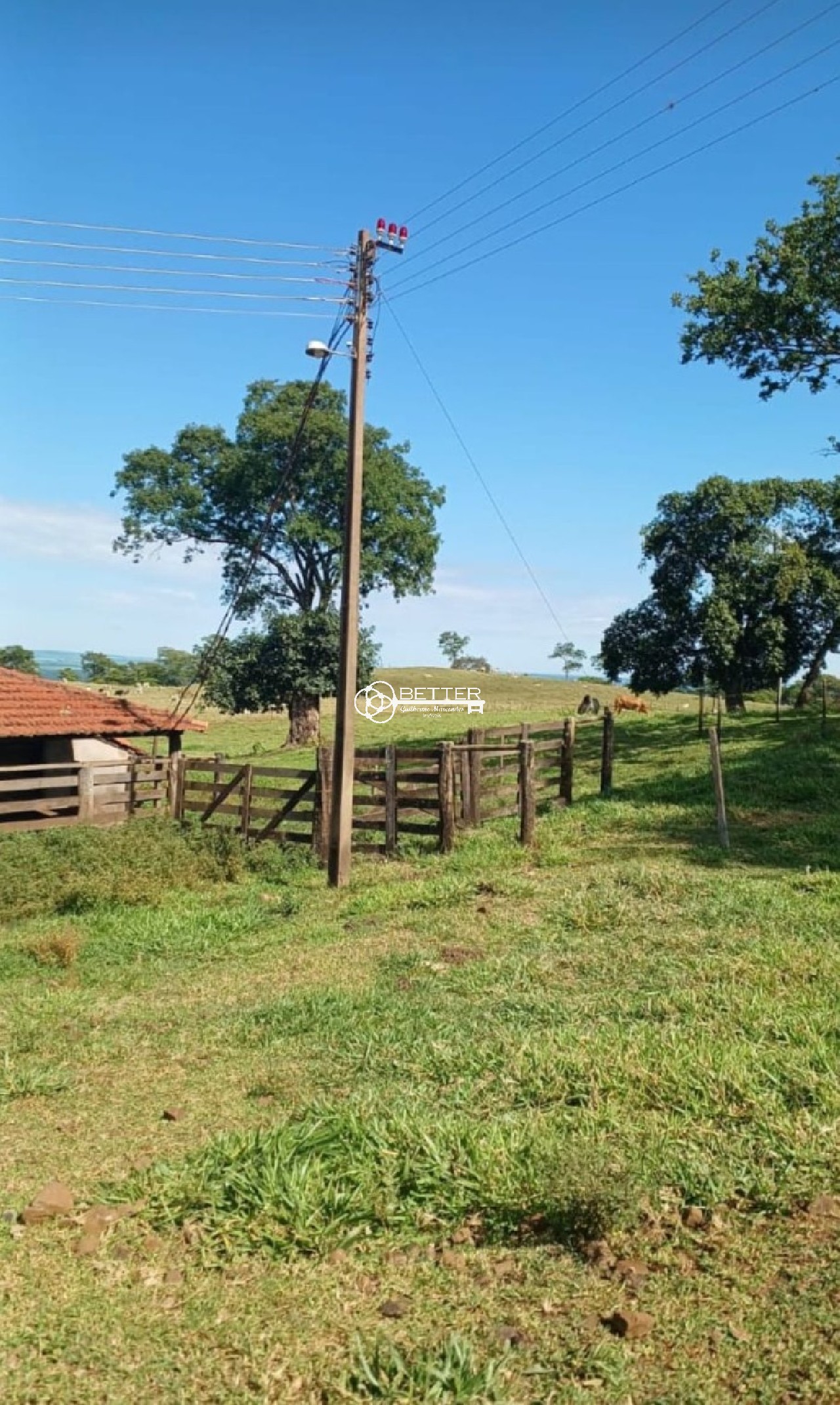 Fazenda, 249 m² - Foto 10