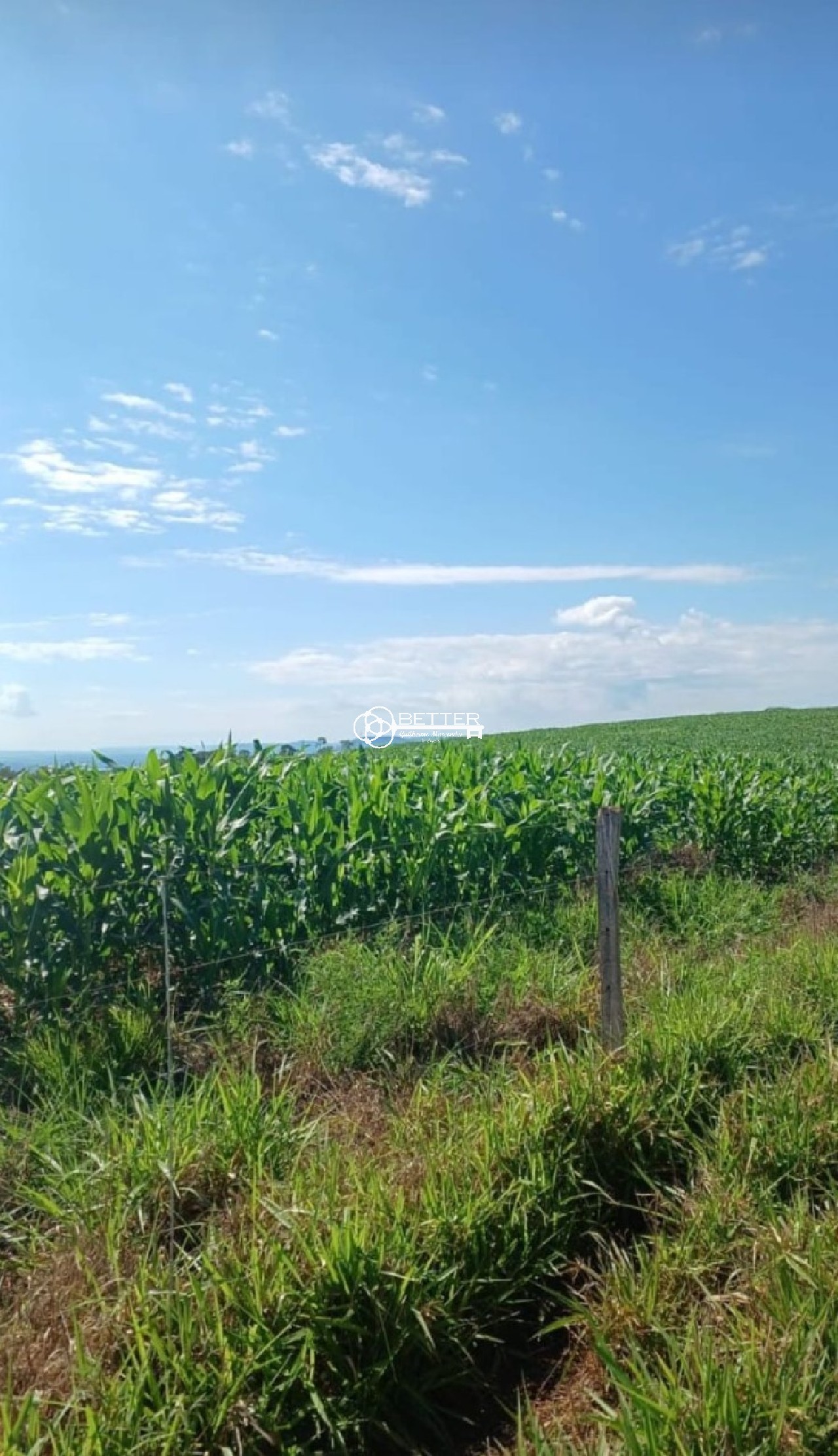 Fazenda, 249 m² - Foto 11