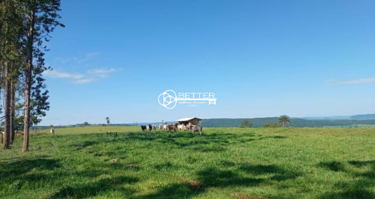 Fazenda, 249 m² - Foto 14