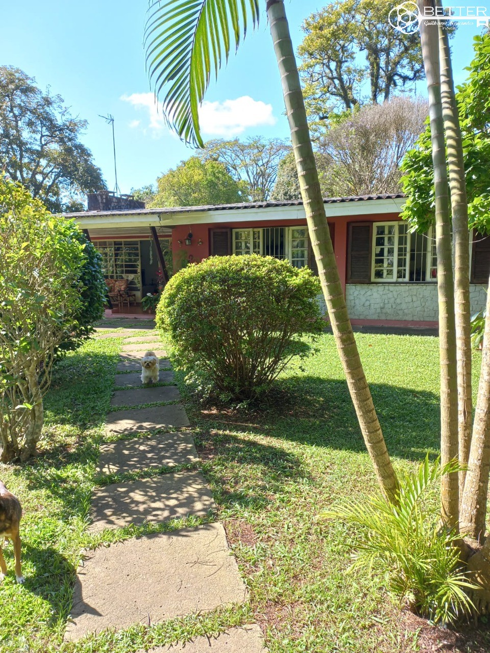 Casa, 4 quartos - Foto 1