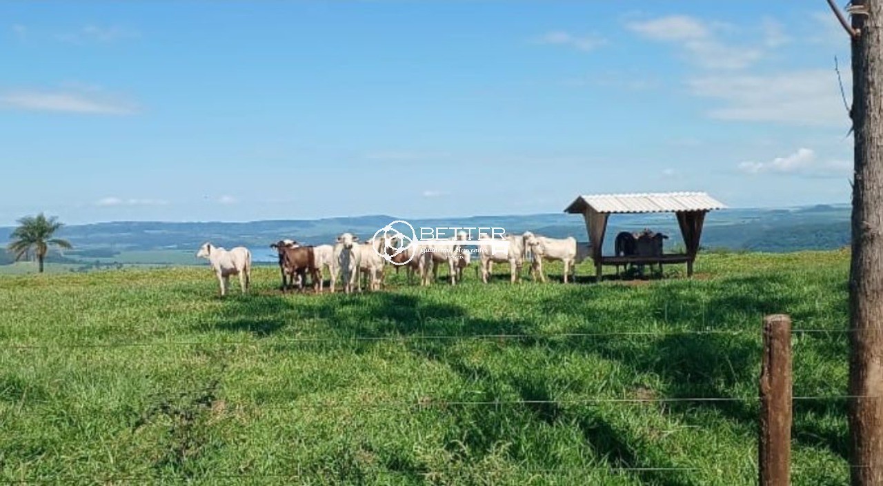 Fazenda, 249 m² - Foto 6