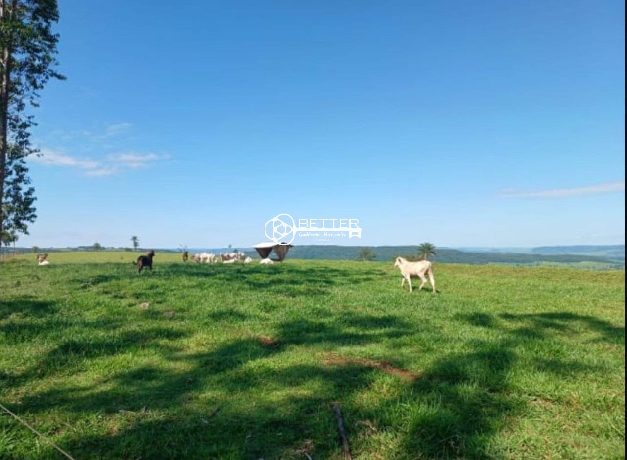 Fazenda, 249 m² - Foto 4