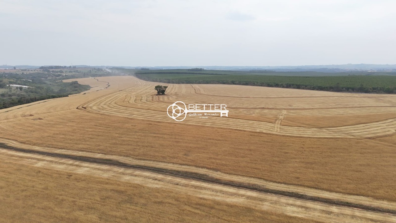 Fazenda, 141 m² - Foto 4