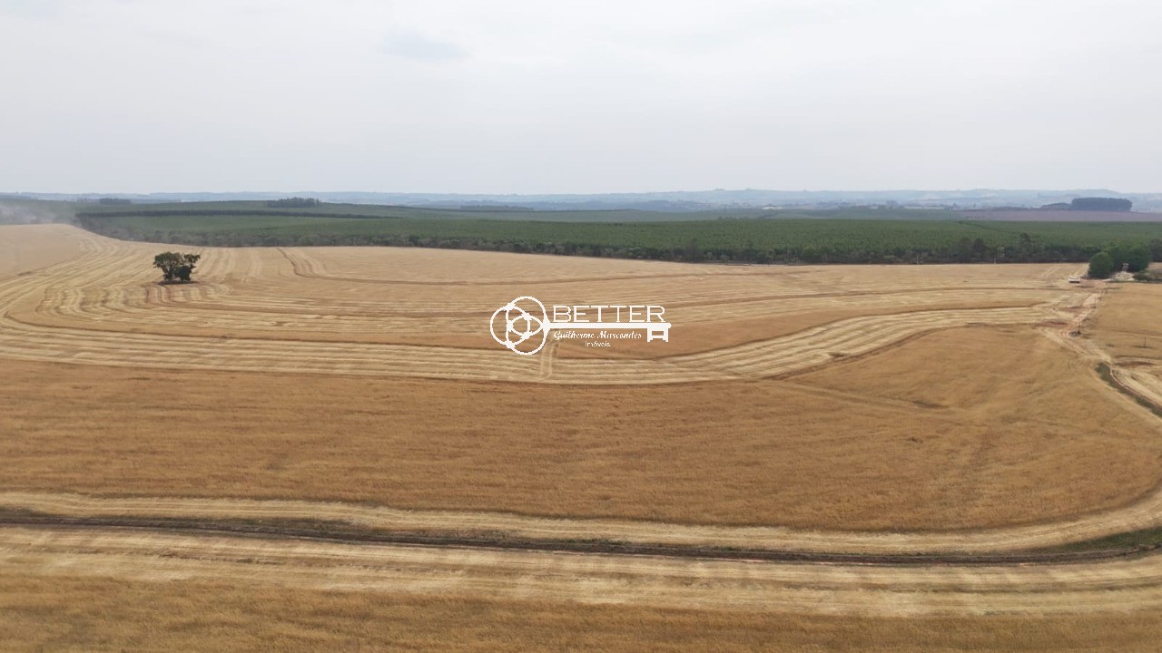 Fazenda, 141 m² - Foto 9