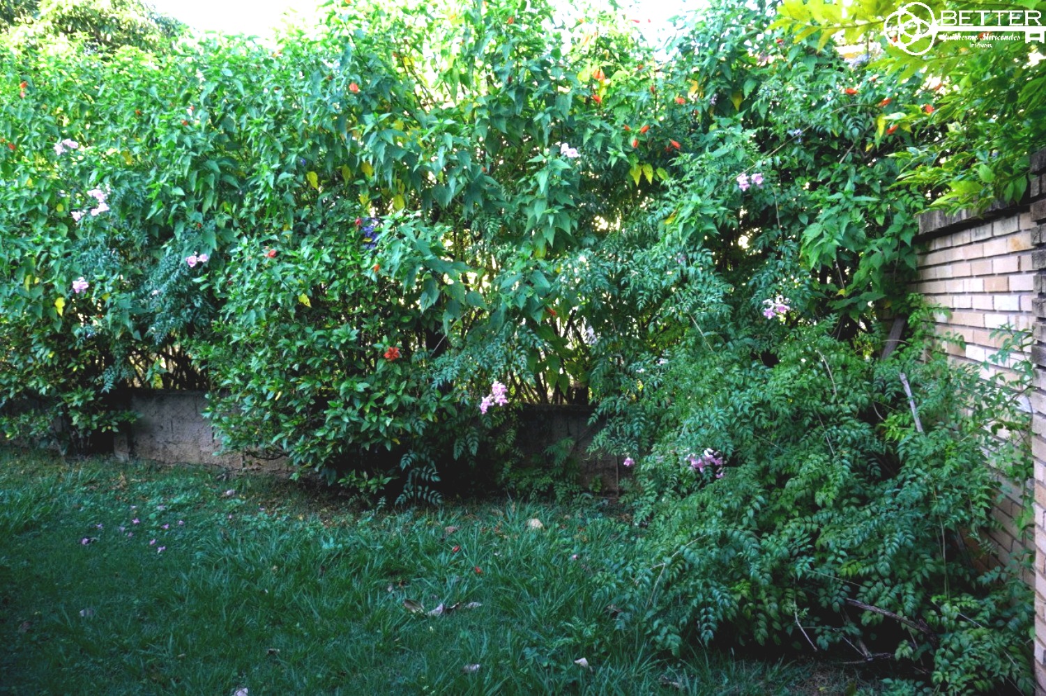 Casa, 4 quartos - Foto 60