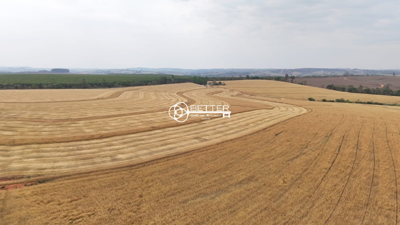 Fazenda, 141 m² - Foto 8