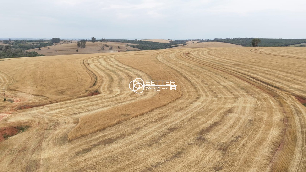 Fazenda, 141 m² - Foto 6