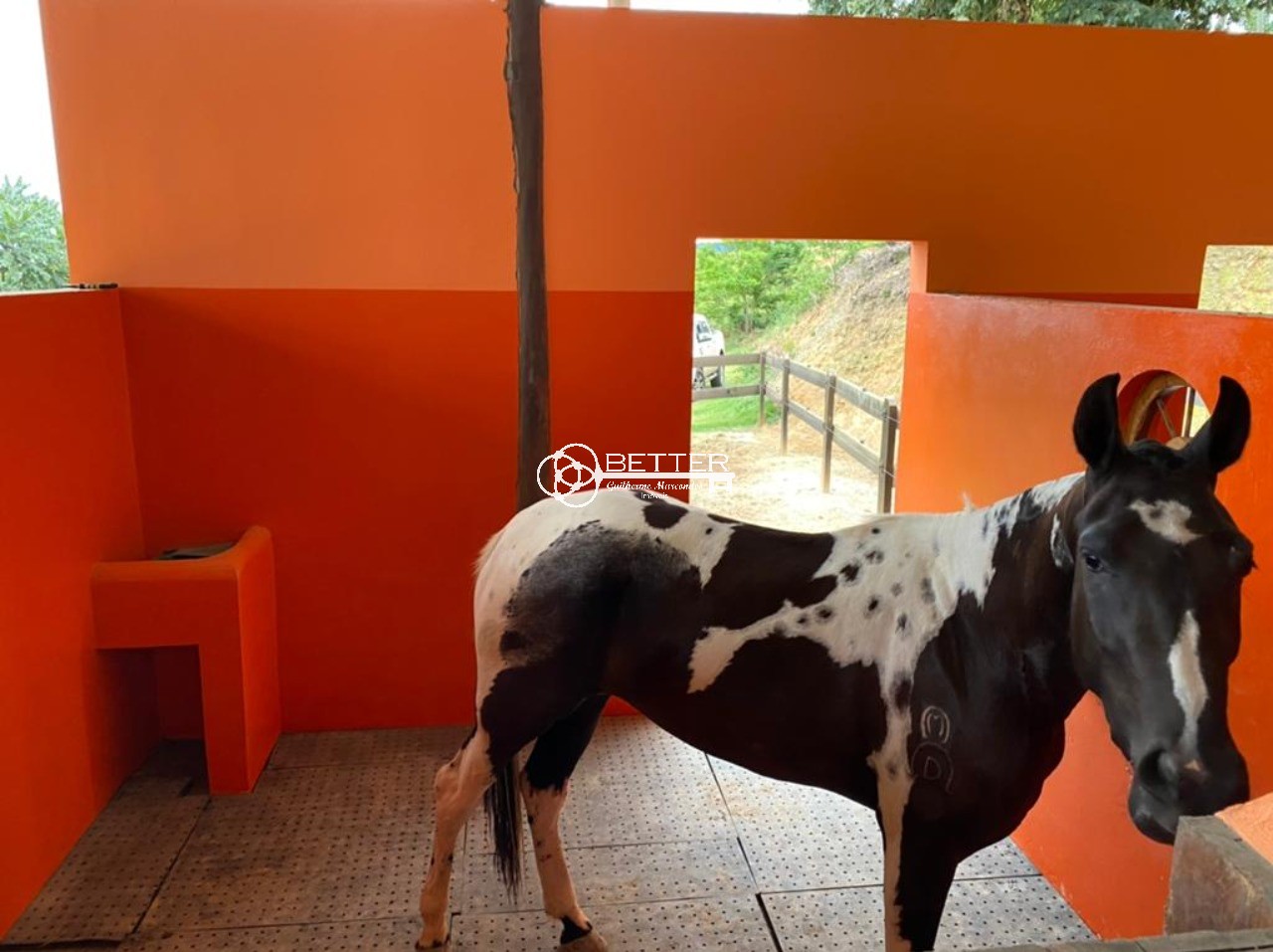 Fazenda, 2 m² - Foto 20