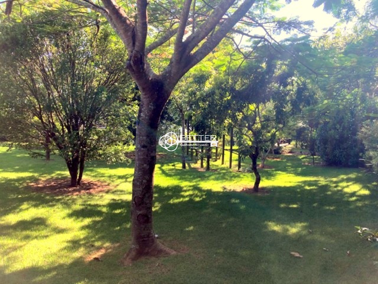 Casa, 5 quartos - Foto 17