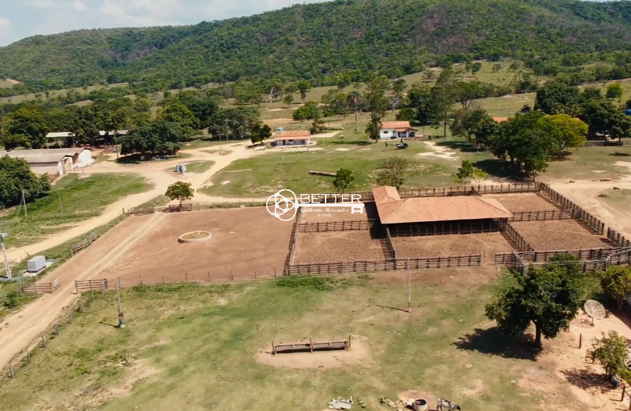 Fazenda, 1 hectares - Foto 10