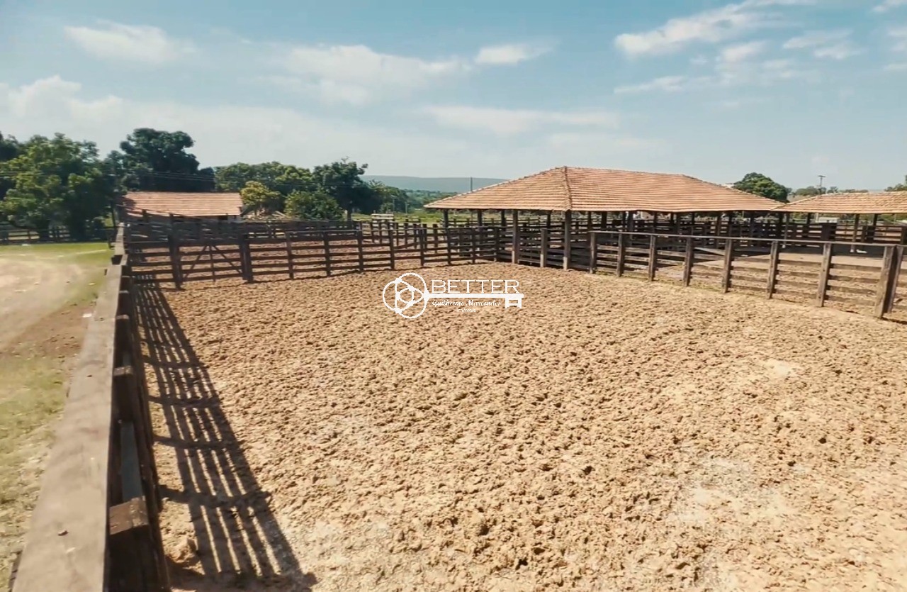 Fazenda, 1 hectares - Foto 8