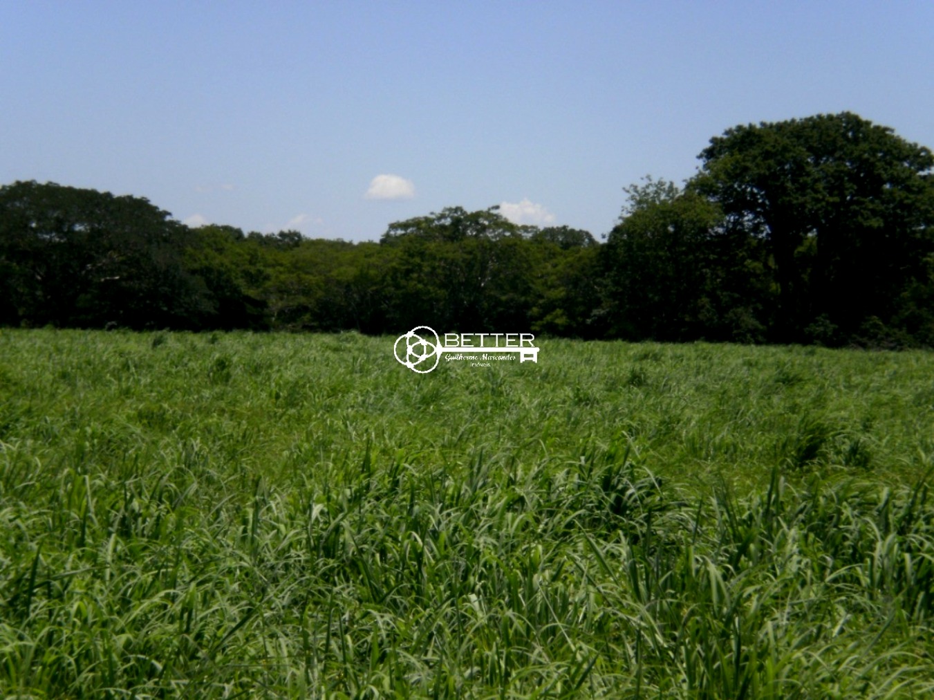 Fazenda, 9500 m² - Foto 13
