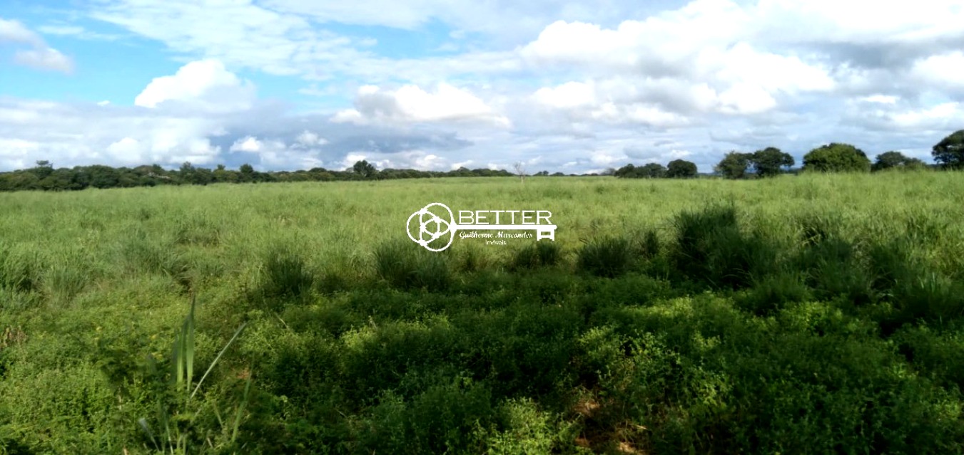 Fazenda, 9500 m² - Foto 9