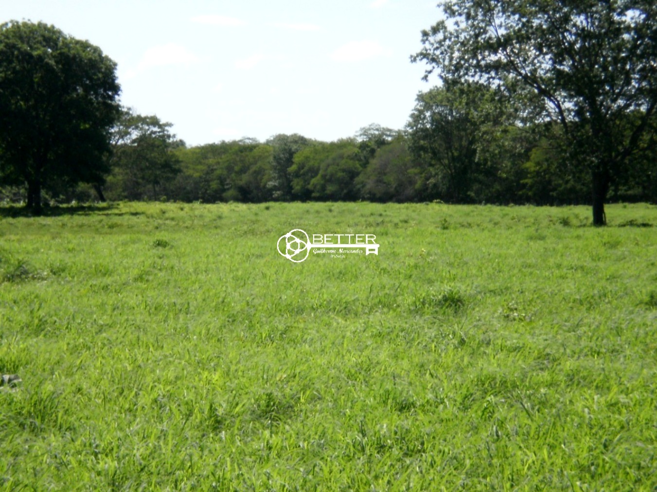 Fazenda, 9500 m² - Foto 5