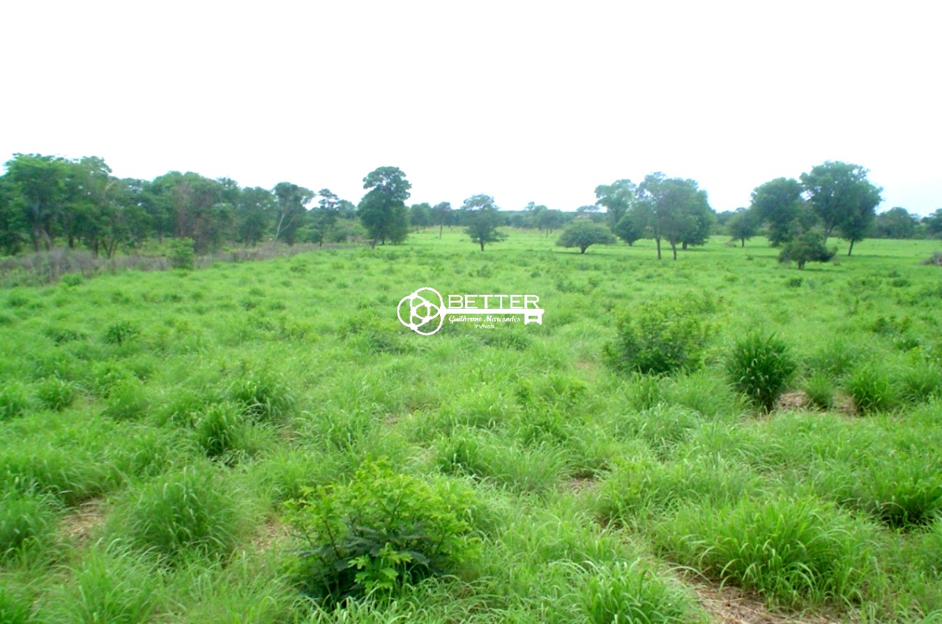 Fazenda, 9500 m² - Foto 7