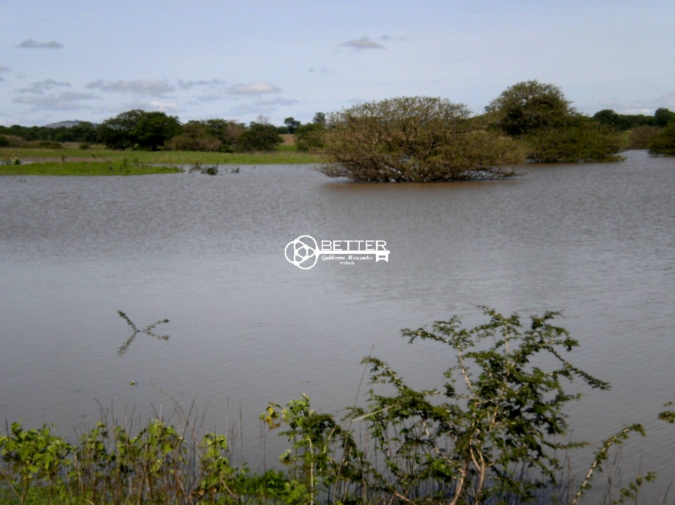 Fazenda, 9500 m² - Foto 1
