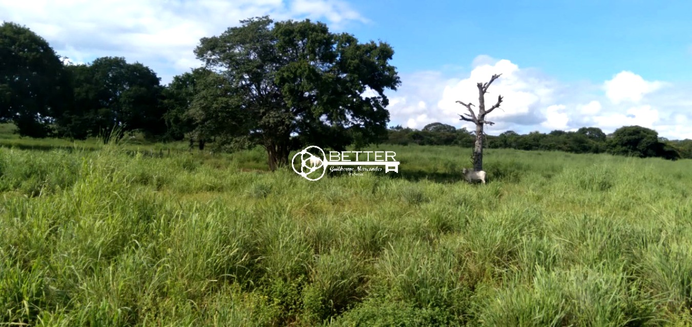 Fazenda, 9500 m² - Foto 10