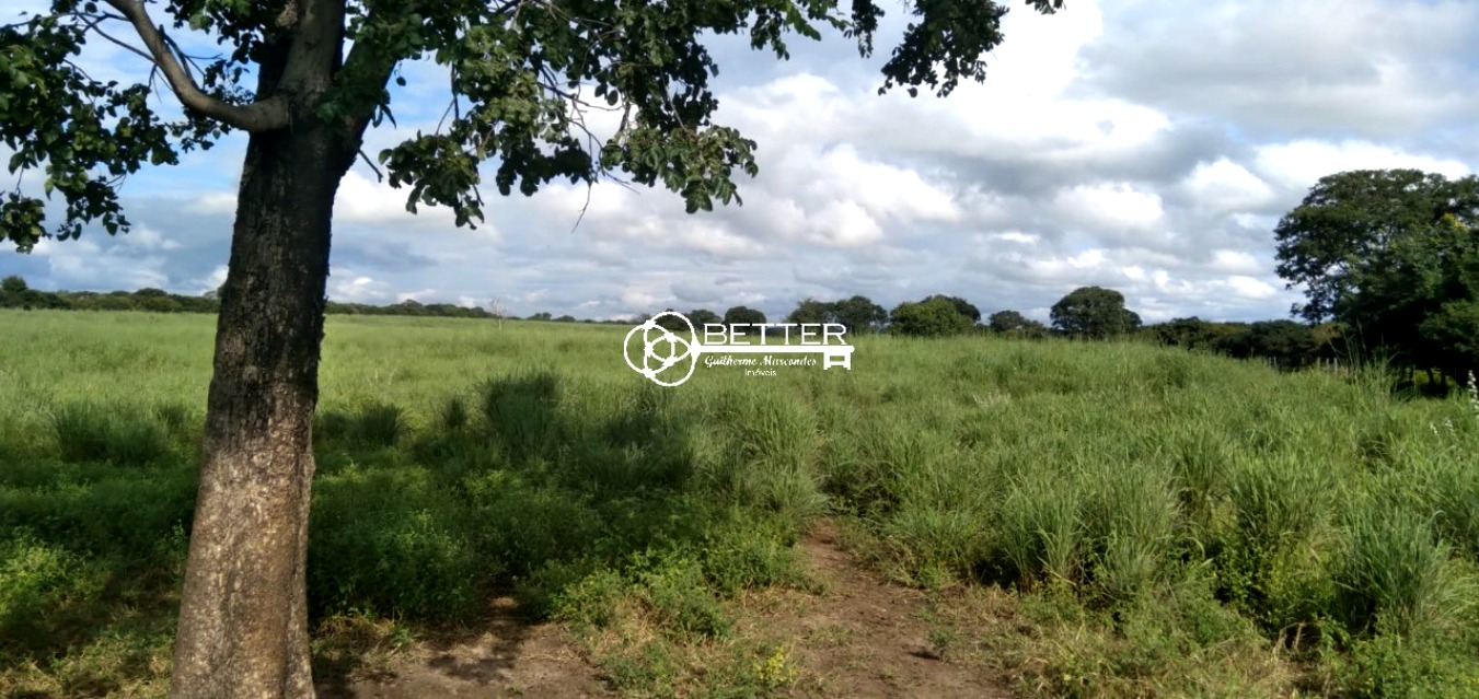 Fazenda, 9500 m² - Foto 8