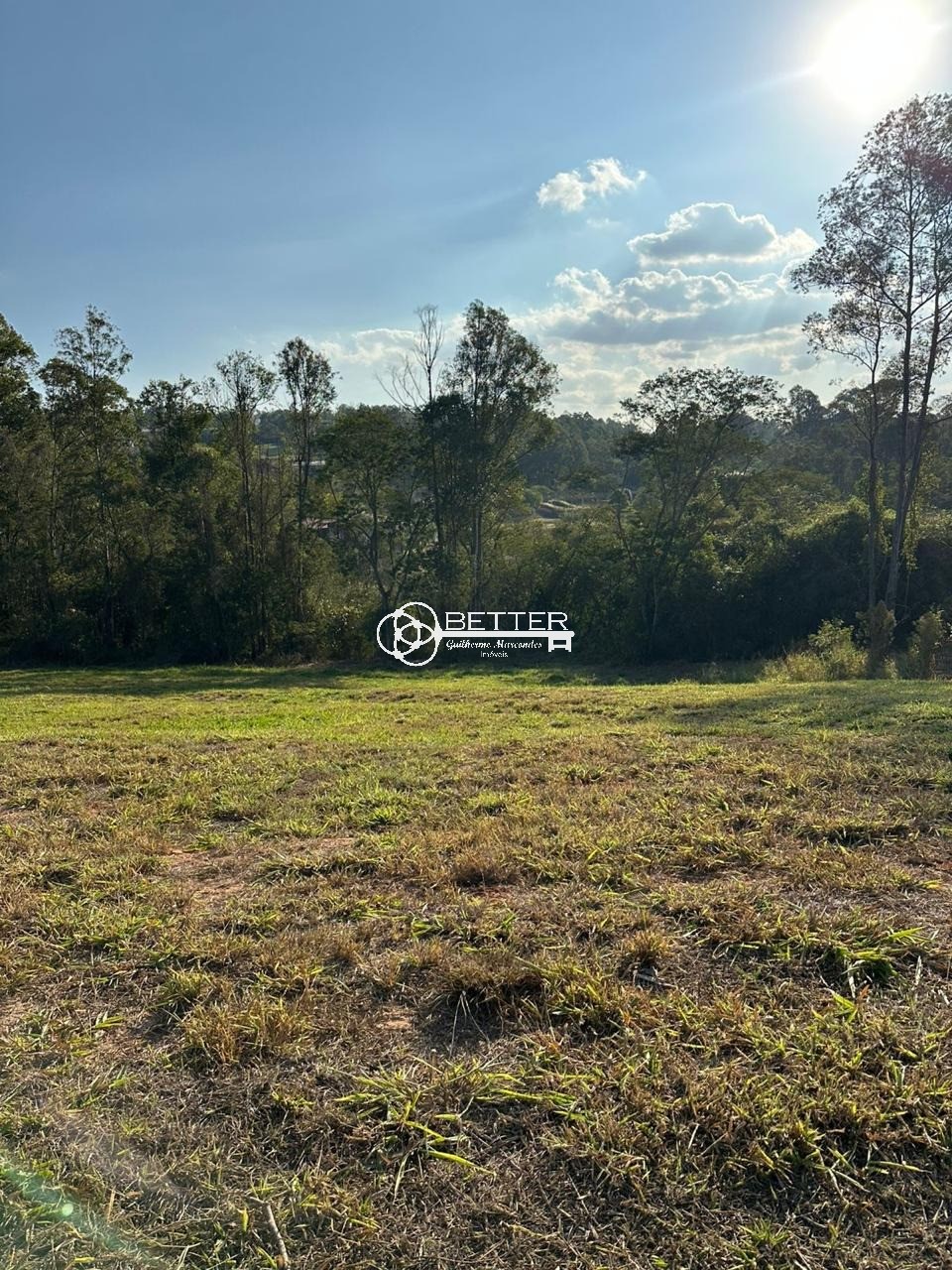 Terreno, 2163 m² - Foto 3