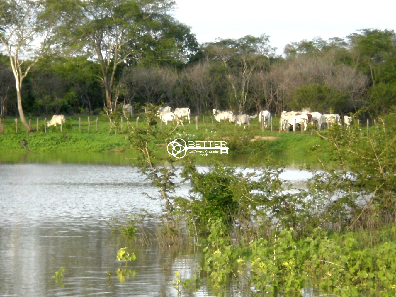 Fazenda, 9500 m² - Foto 2