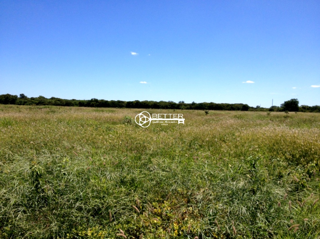 Fazenda, 9500 m² - Foto 12